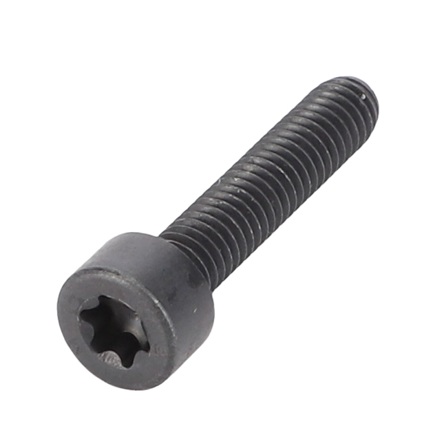 ВИНТ TORX