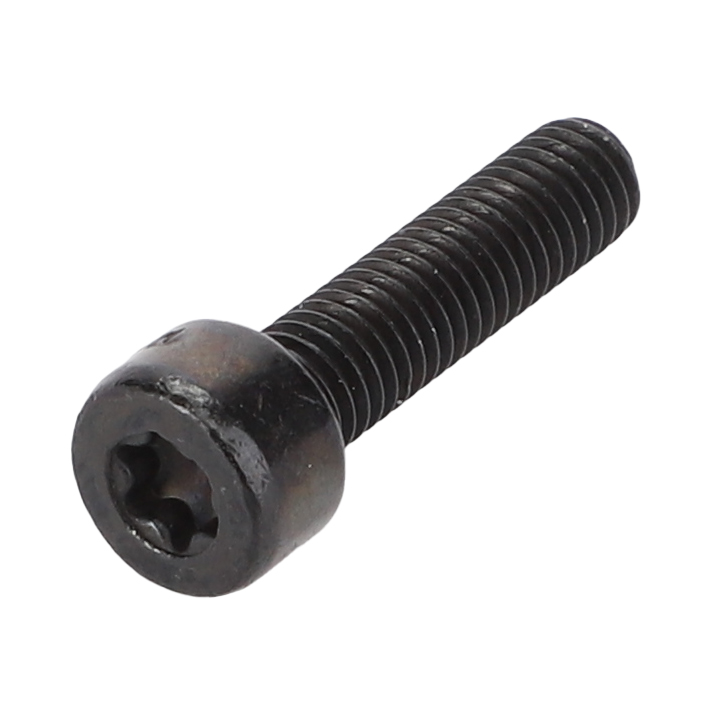 ВИНТ TORX