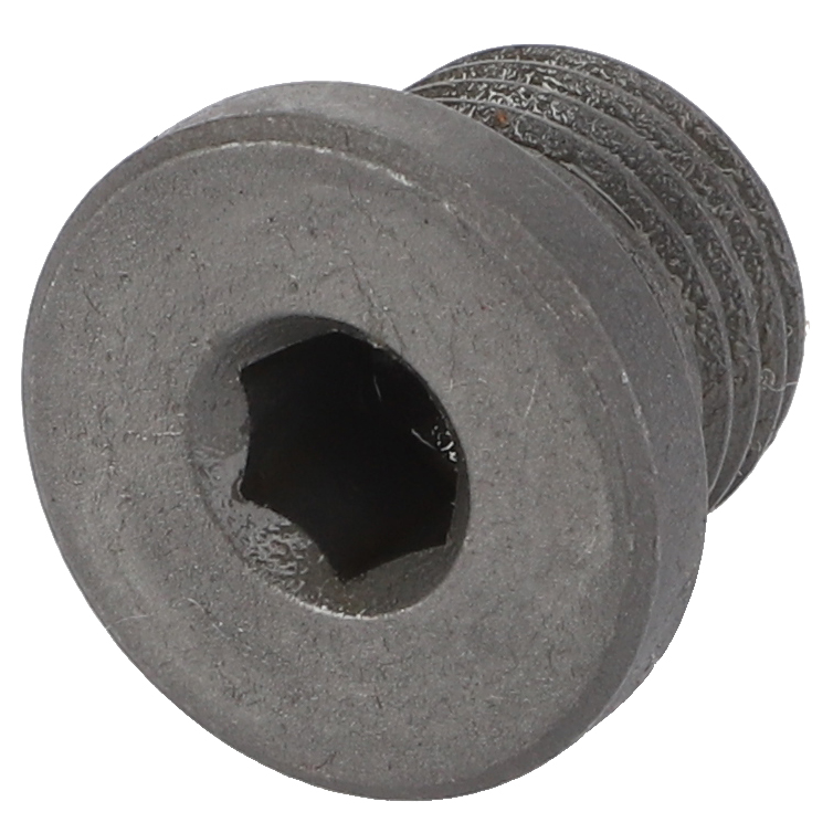 Винт штепсельной вилки