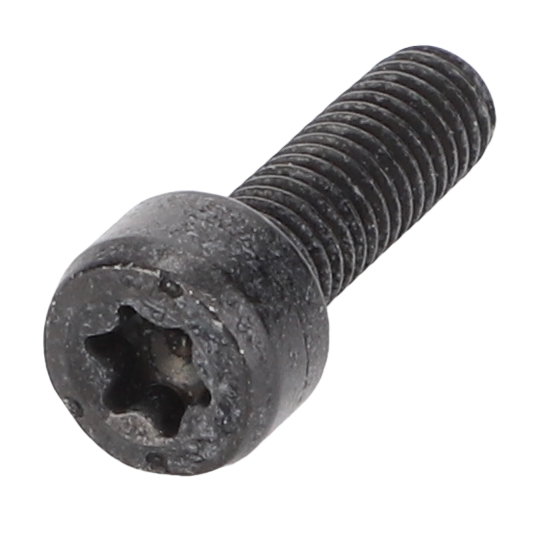 ВИНТ TORX